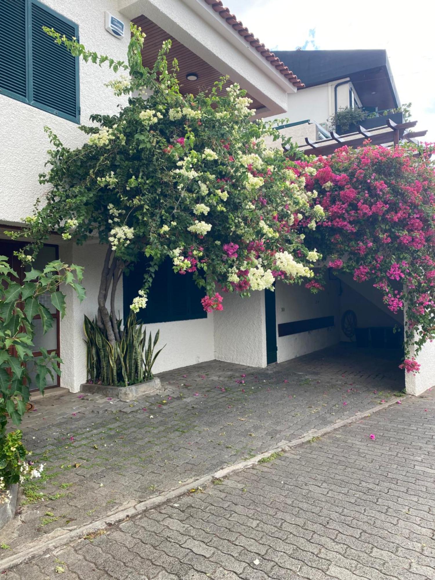 Casa Ideal Para Familias Com Vista Mar Desafogada Funchal  Zewnętrze zdjęcie